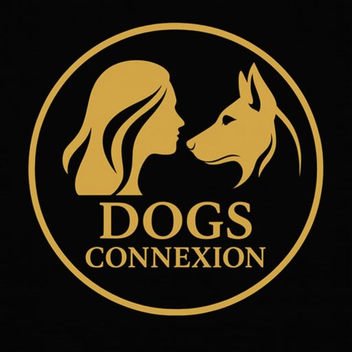 Dogs Connexion