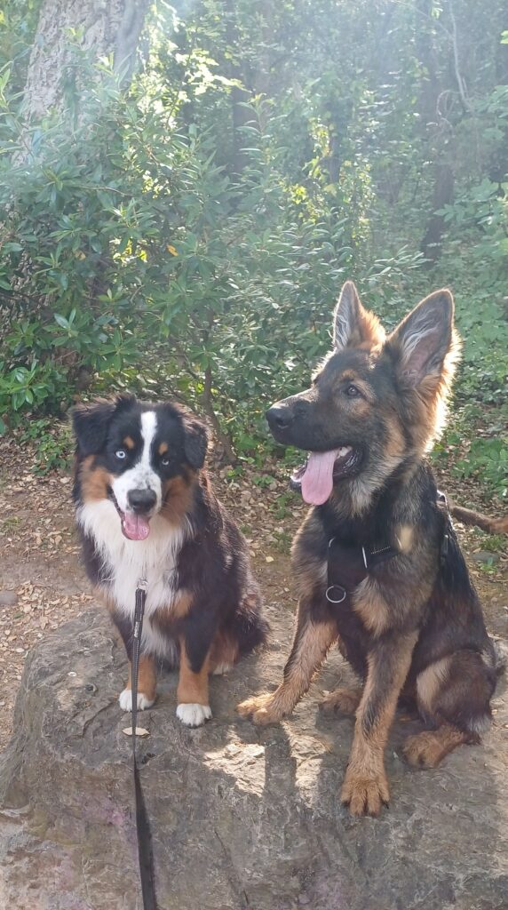 Ellie et Aska